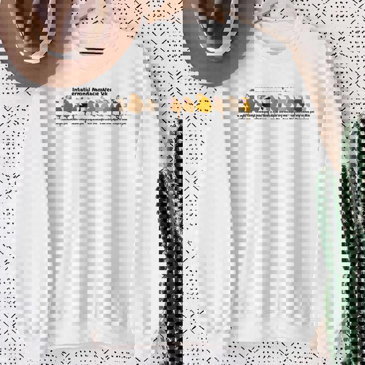 International Macaque Week 2024Er1 スウェットシャツ 年配の女性への贈り物