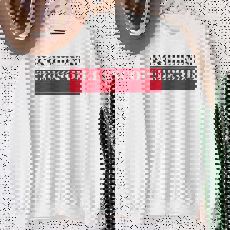 Kenko エクセレントテレスコープ 90年代復刻デザイン 両面デザイン淡色ボディ スウェットシャツ 年配の女性への贈り物