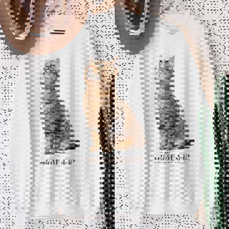 Mischief In Fur 猫写真 キジトラ 猫好き ネタ 猫しもべ 猫飼い 猫依存症 猫オーナー スウェットシャツ 年配の女性への贈り物