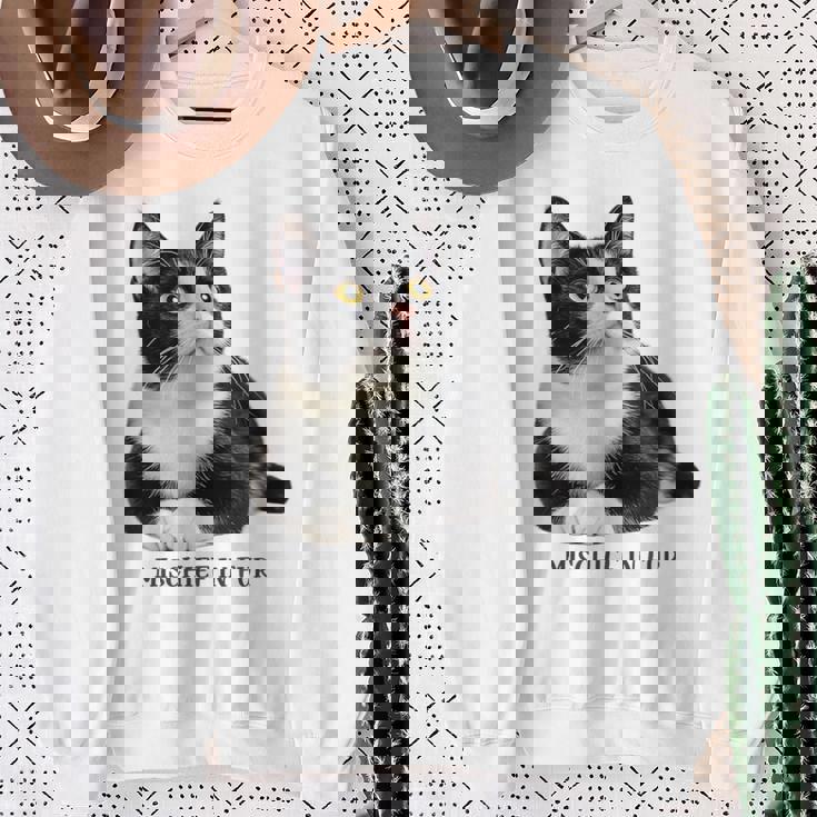 Mischief In Fur 猫写真 ハチワレ猫 黒白猫 猫好き ネタ 猫しもべ 猫飼い 猫依存症 スウェットシャツ 年配の女性への贈り物