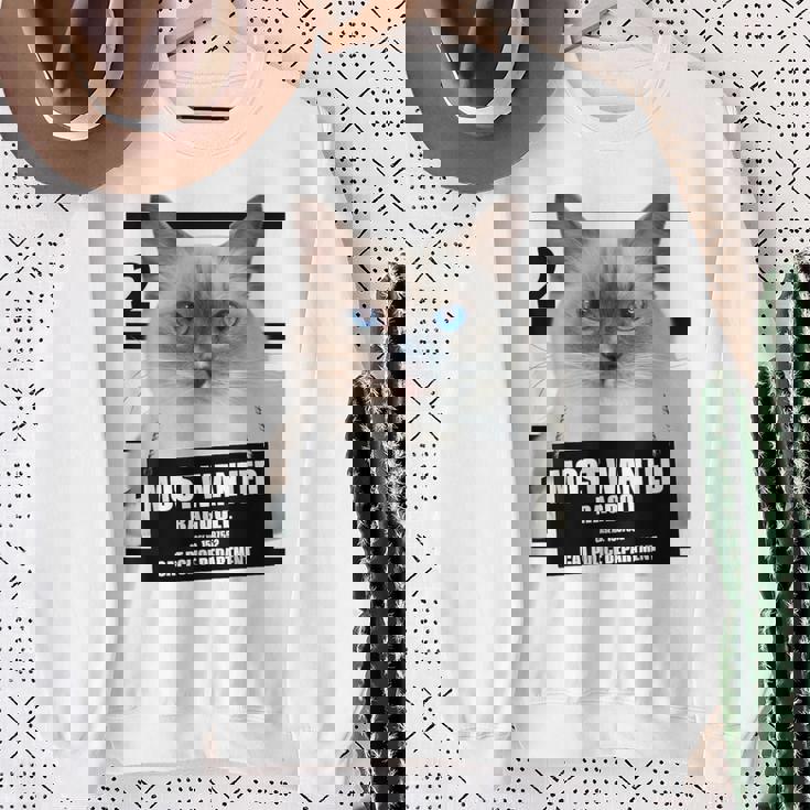 Most Wanted ラグドール ラグドール 猫 スウェットシャツ 年配の女性への贈り物