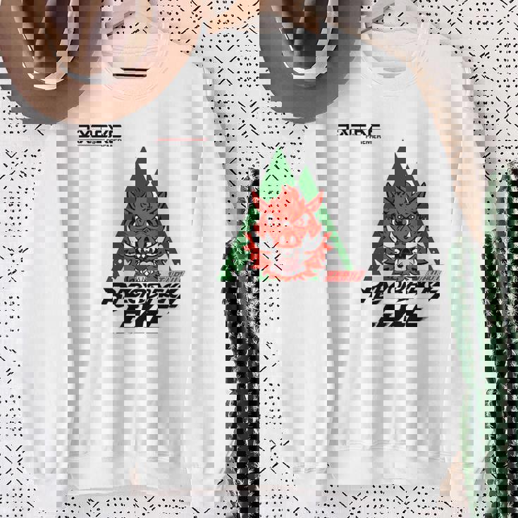 Tarui RazorbacksExe_17_石井開 スウェットシャツ 年配の女性への贈り物