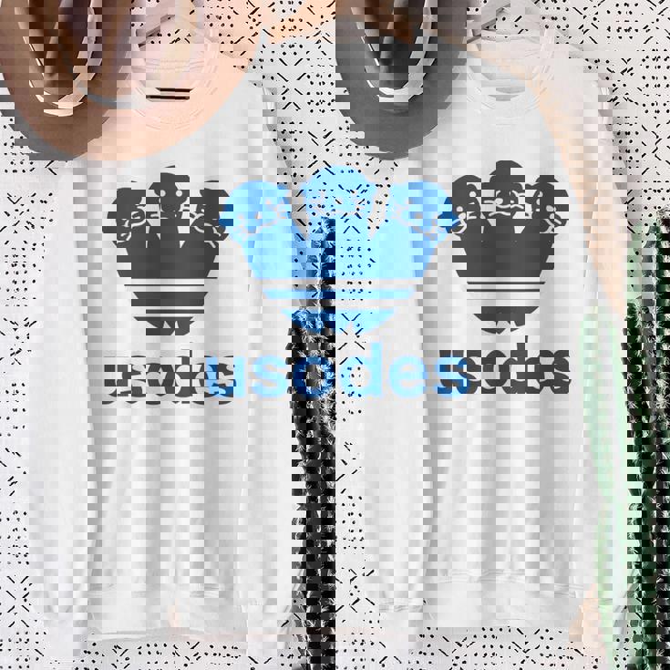 【バックプリント・背中側】ウソデス Usodes かわうそです。《ブルー 青》スポーツ ブランド パロディ 面白い スウェットシャツ 年配の女性への贈り物