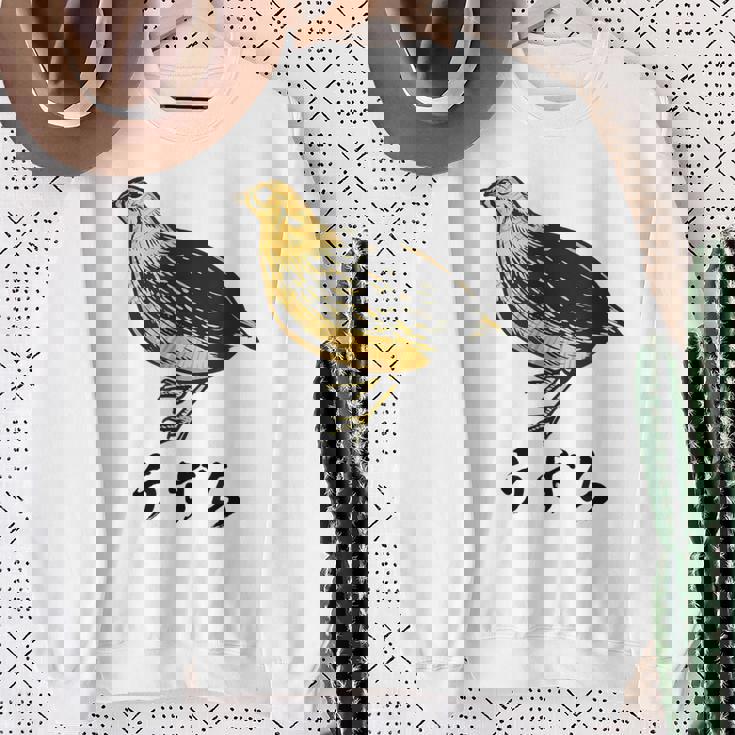 うずら 面白いtシャツ かわいい 鳥 筆文字 メンズ おもしろ 面白い 服 オリジナル グッズ 文字tシャツ ネタ スウェットシャツ 年配の女性への贈り物