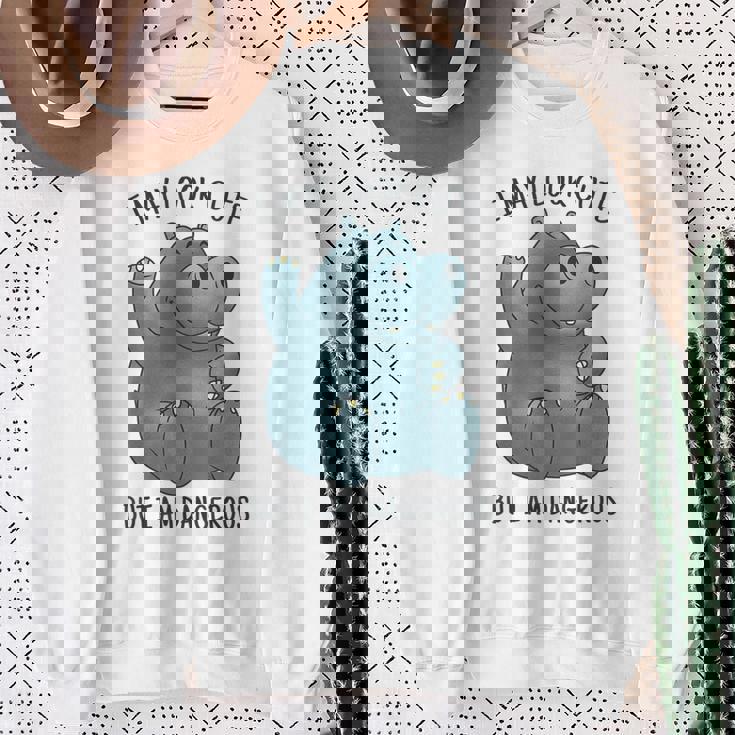 かわいいグレーカバ スウェットシャツ 年配の女性への贈り物