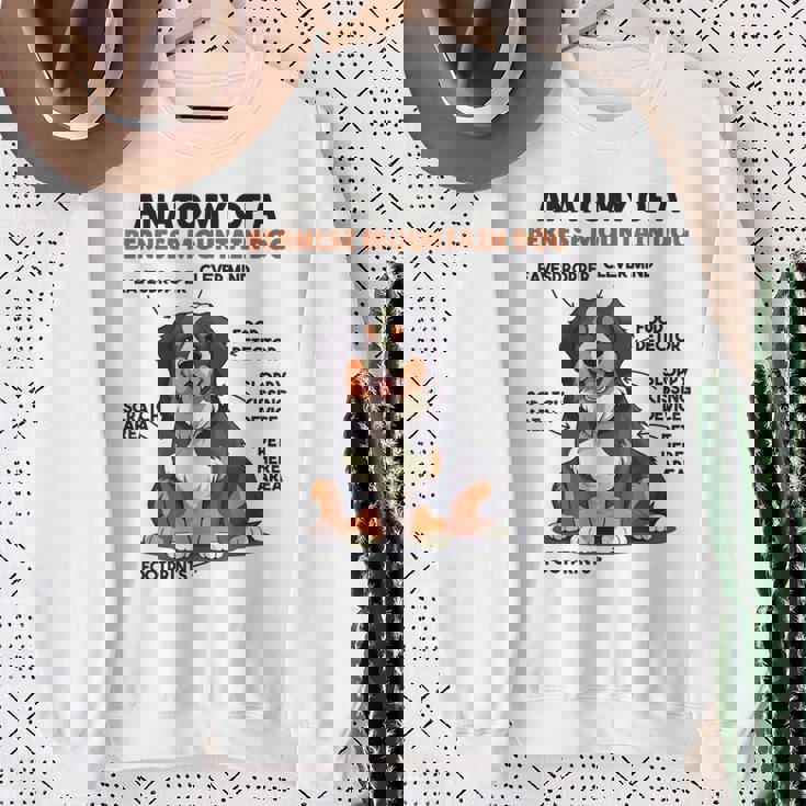 かわいい犬の説明 バーニーズ・マウンテン・ドッグの解剖学 スウェットシャツ 年配の女性への贈り物