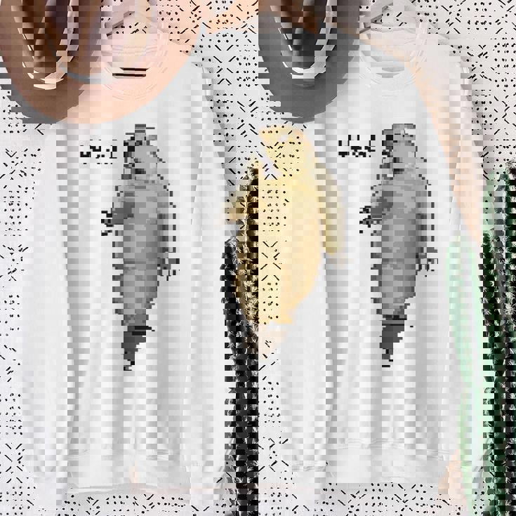 アニマルプリント 驚いたマーモット ドット絵 ピクセルアート 面白い 動物 ミーム スウェットシャツ 年配の女性への贈り物