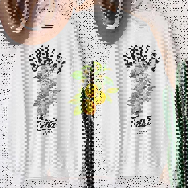 アマルフィ海岸レモン イタリア スウェットシャツ 年配の女性への贈り物