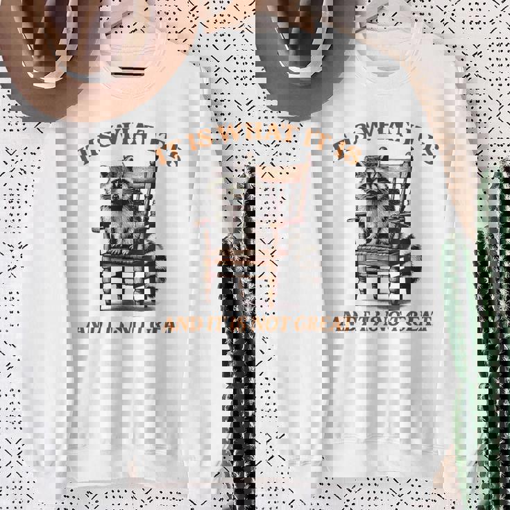 アライグマのミーム It's What It's And It Is Not Greatarcastic スウェットシャツ 年配の女性への贈り物