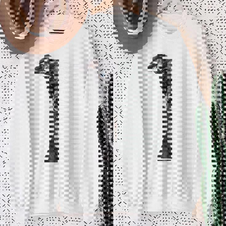 イタリアングレイハウンド 長袖tシャツ スウェットシャツ 年配の女性への贈り物