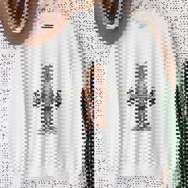 ウェイトリフティング 筋トレ バーベル やる気がないなら家に帰れ 赤毛 猫 ねこ スウェットシャツ 年配の女性への贈り物