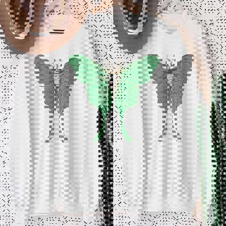 オオミズアオ ルナモス 薄い 緑色 黄緑色 蛾 Luna Moth レトロ 虫 昆虫 イラスト かっこいい おしゃれ スウェットシャツ 年配の女性への贈り物