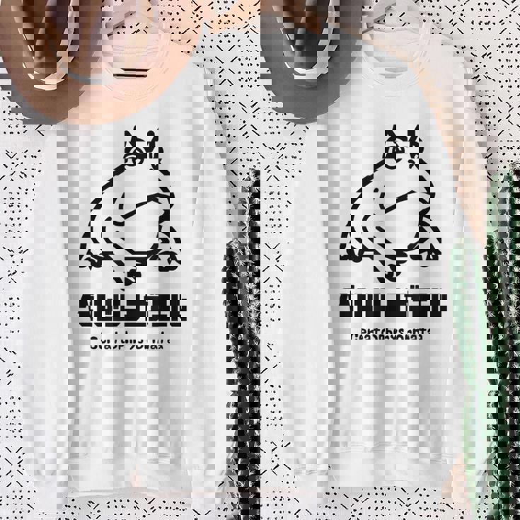 カエル ベルツノガエル メンズ レディース キッズ かわいい 蛙好き スウェットシャツ 年配の女性への贈り物