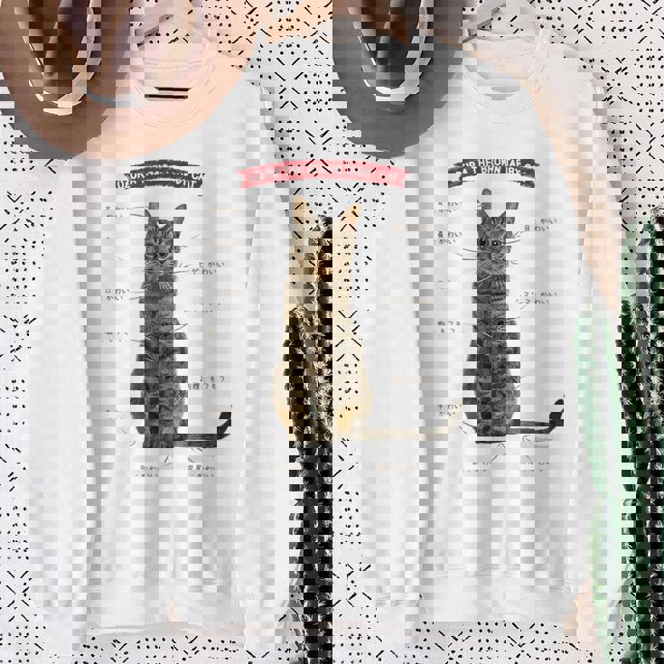 キジトラねこ、うずら 猫 キジトラ猫 鶉 かわいい Cat （ホワイト） スウェットシャツ 年配の女性への贈り物