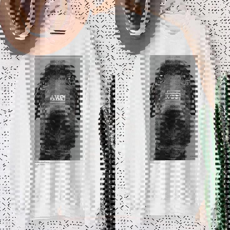 キッズ Artlist Collection The Dog ラブラドール・レトリーバー （キッズ） スウェットシャツ 年配の女性への贈り物