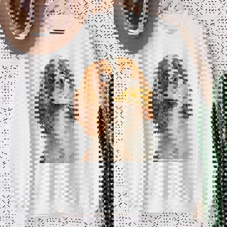 キャバリア・キング・チャールズ・スパニエル・チーズ・ドッグキャバリアー 長袖tシャツ スウェットシャツ 年配の女性への贈り物