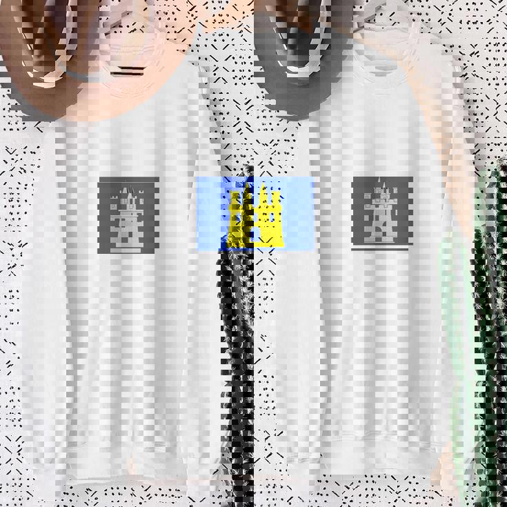 ギャップフラッグ フランス プライド ギフト 長袖tシャツ スウェットシャツ 年配の女性への贈り物