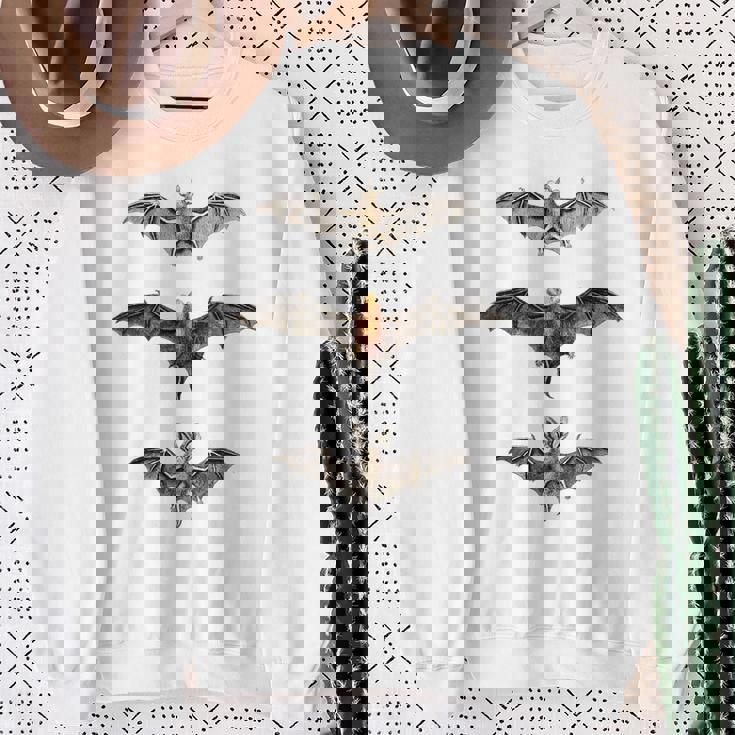 コウモリ 科学イラスト 描画 生物学 アート ハロウィン スウェットシャツ 年配の女性への贈り物