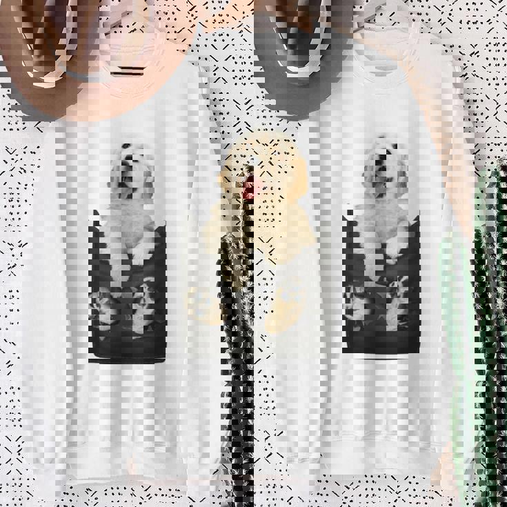 ゴールデンレトリバー ポケットに入った子犬 長袖tシャツ スウェットシャツ 年配の女性への贈り物