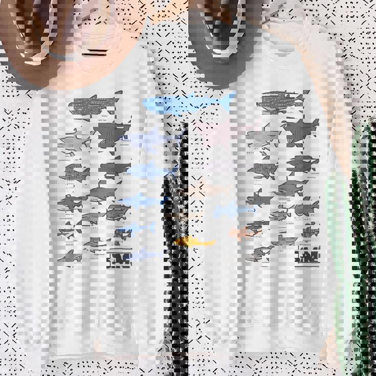 サメ図鑑 スウェットシャツ 年配の女性への贈り物