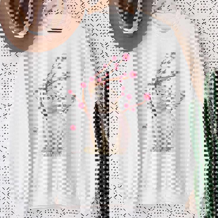スコティッシュフォールド ネコ 桜の花 長袖tシャツ スウェットシャツ 年配の女性への贈り物