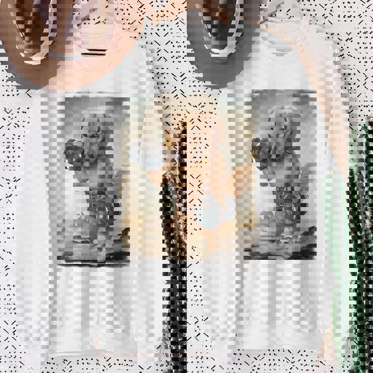 ダックスフンド 犬 筋トレ ウェイトリフティング ダンベル付き スウェットシャツ 年配の女性への贈り物