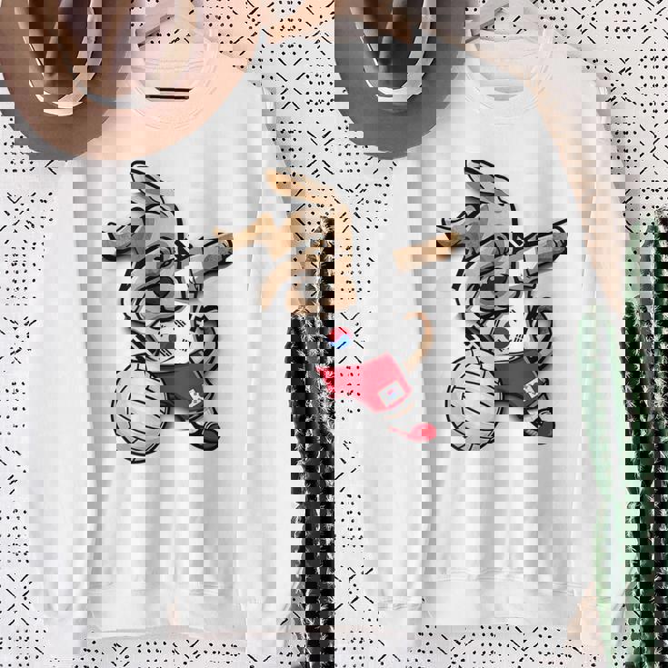 ダビング犬 韓国 バレーボール ラバー ジャージ 韓国国旗 スウェットシャツ 年配の女性への贈り物