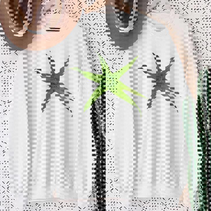 トマトイージー コスチューム トマトに変身 スウェットシャツ 年配の女性への贈り物