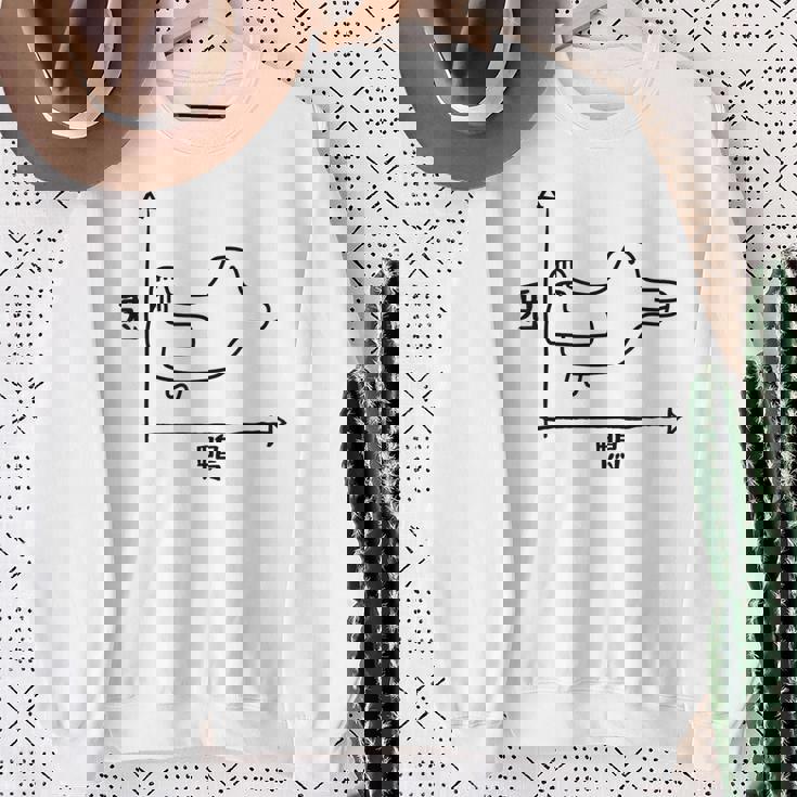 トリックアート うさぎとカモ 兎と鴨 おもしろデザイン だまし絵 兎 鴨 グラフ スウェットシャツ 年配の女性への贈り物