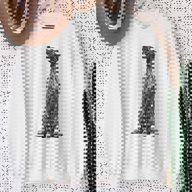 ドッグ・プロット・ハウンド スウェットシャツ 年配の女性への贈り物