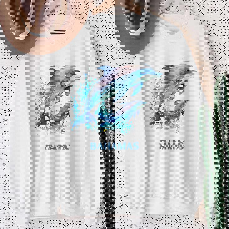 ドルフィン バケーション ヴィンテージ バハマ ビーチ デスティネーション スウェットシャツ 年配の女性への贈り物