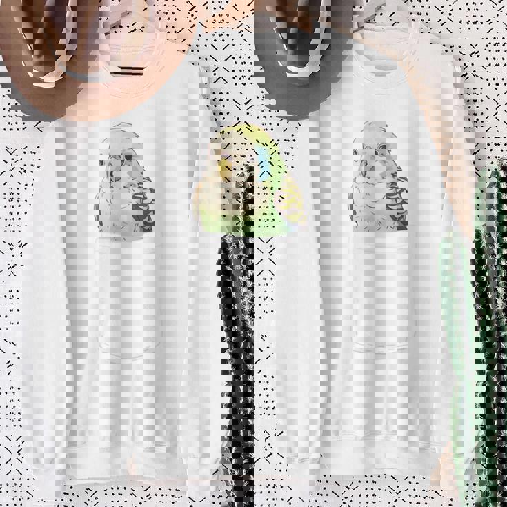 バッグの中のかわいいセキセイインコ、面白いセキセイインコ 長袖tシャツ スウェットシャツ 年配の女性への贈り物