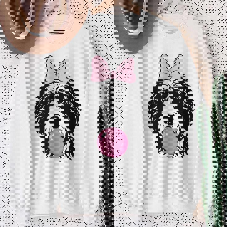 バブルガムを持つバーネドゥードル犬 スウェットシャツ 年配の女性への贈り物