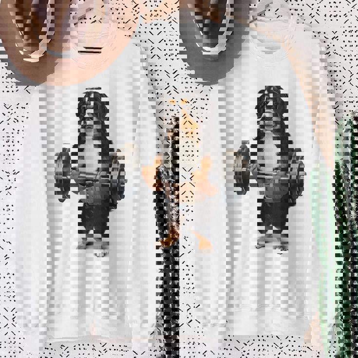 バーニーズマウンテンドッグ ウェイトリフティング フィットネスジム スウェットシャツ 年配の女性への贈り物