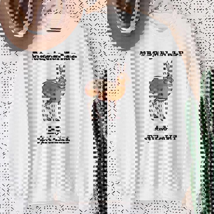 パタゴニアン マーラ スピリットアニマル 長袖tシャツ スウェットシャツ 年配の女性への贈り物