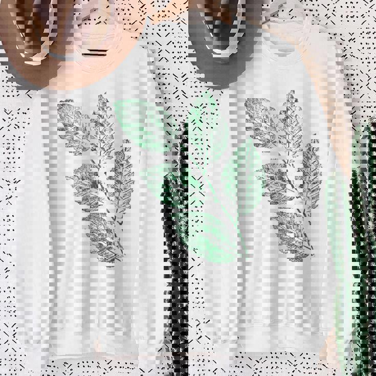 ブナの葉 植物 自然と森林 木のグラフィックス スウェットシャツ 年配の女性への贈り物