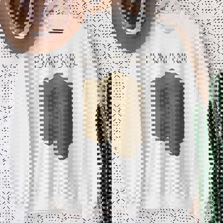 プーマ プンク 長袖tシャツ スウェットシャツ 年配の女性への贈り物