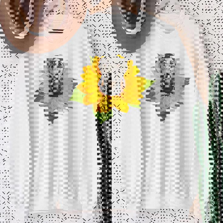 ポケットの中の犬 花 サルーキ スウェットシャツ 年配の女性への贈り物