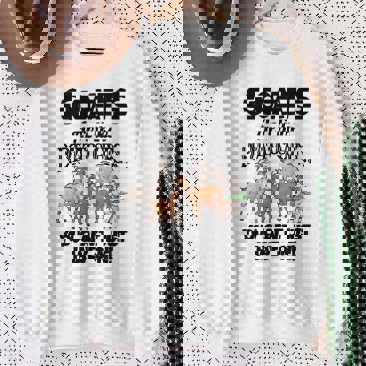 ヤギの恋人たちのためのヤギシャツ 農場アパレル ミームパンファニーヤギ 長袖tシャツ スウェットシャツ 年配の女性への贈り物