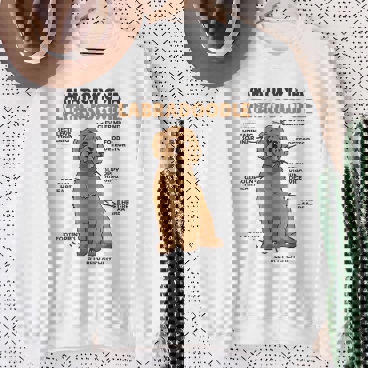 ラブラドゥードルの解剖学かわいい犬面白い犬ラブラドゥードル スウェットシャツ 年配の女性への贈り物