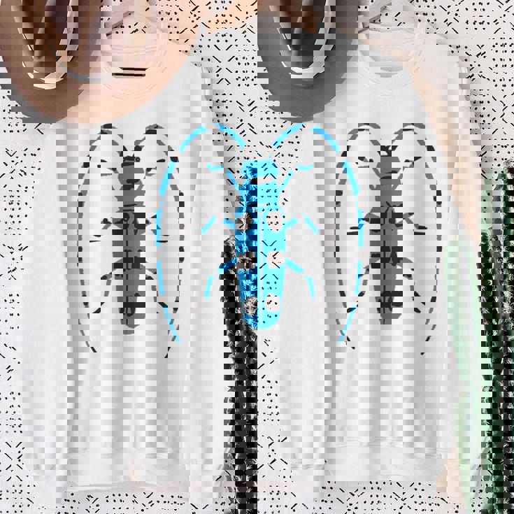 ルリボシカミキリ _昆虫_カミキリムシ スウェットシャツ 年配の女性への贈り物