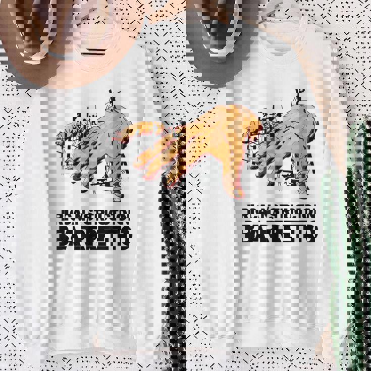 レイサルサデュラバレットリカンストラクションヴィンタンジュデファニア スウェットシャツ 年配の女性への贈り物