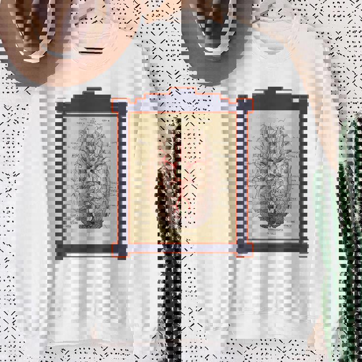 ヴィンテージ 人間の脳 解剖図 スウェットシャツ 年配の女性への贈り物