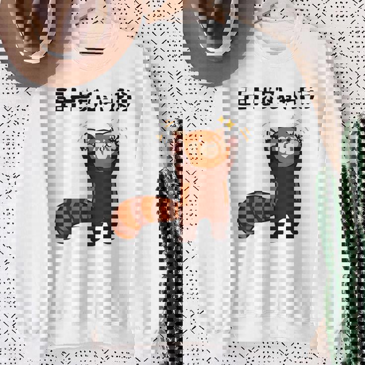 五十歩ひゃっほう レッサーパンダ ネタ ことわざ ことわざのもじり ジョーク ギャグ ダジャレ ツッコミ おもしろ スウェットシャツ 年配の女性への贈り物