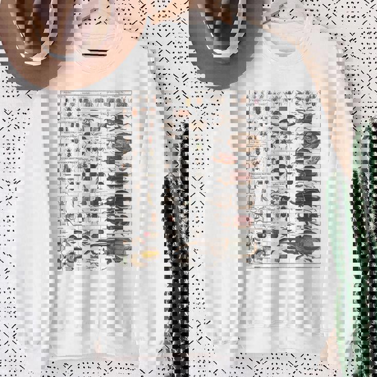 昆虫学者 昆虫学 昆虫 虫の種類 スウェットシャツ 年配の女性への贈り物