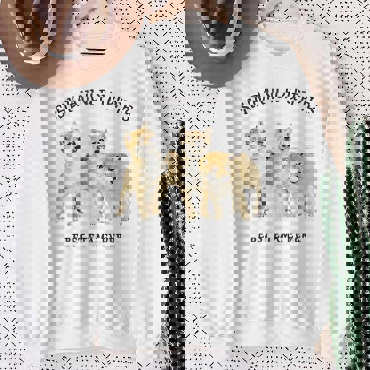 柴犬 しばいぬ 子柴 柴犬子犬 チーム いぬ プリント 写真 水彩 おしゃれ かわいい 犬飼い 犬好き スウェットシャツ 年配の女性への贈り物