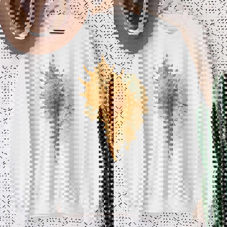 水彩 ムレックス 貝殻 貝殻 ハンティング ビーチコーミング スウェットシャツ 年配の女性への贈り物