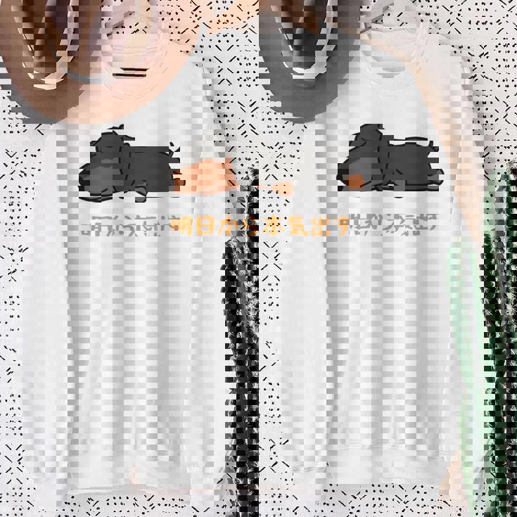 犬 おもしろ 明日から本気出す 可愛い ダックスフンド ミニチュアダックスフンド 長袖tシャツ スウェットシャツ 年配の女性への贈り物