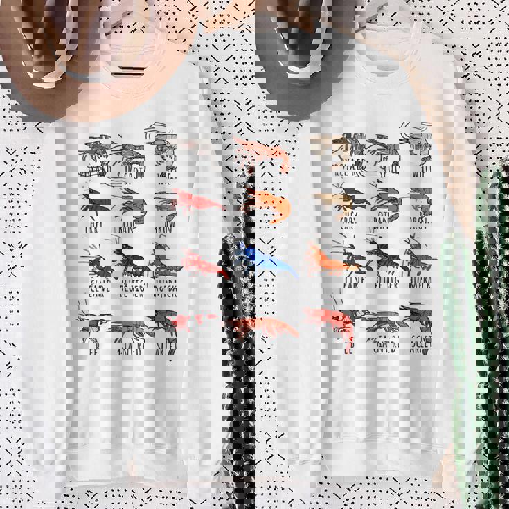 異なるタイプのエビの品種コレクション、かわいいエビ愛好家。 スウェットシャツ 年配の女性への贈り物