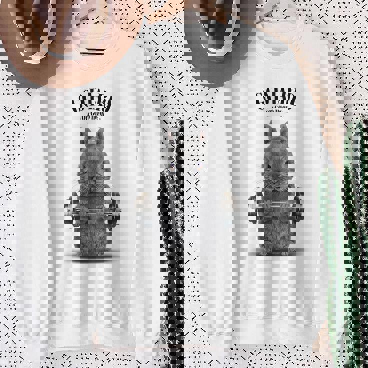 筋トレ ネザーランドドワーフ ウサギ ブルー スウェットシャツ 年配の女性への贈り物